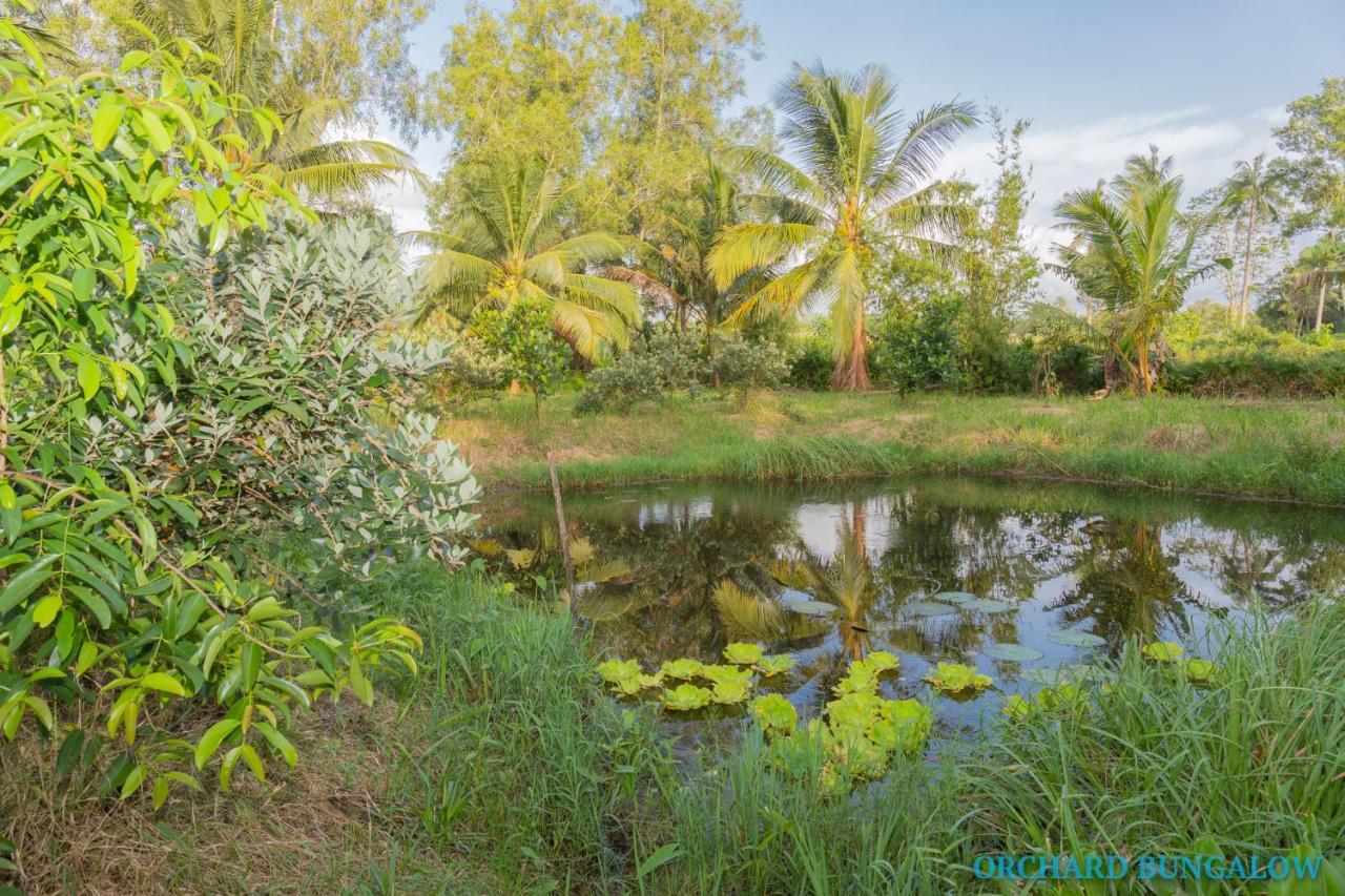 Orchard Fruit Farm Bungalow Duong Dong Exterior foto