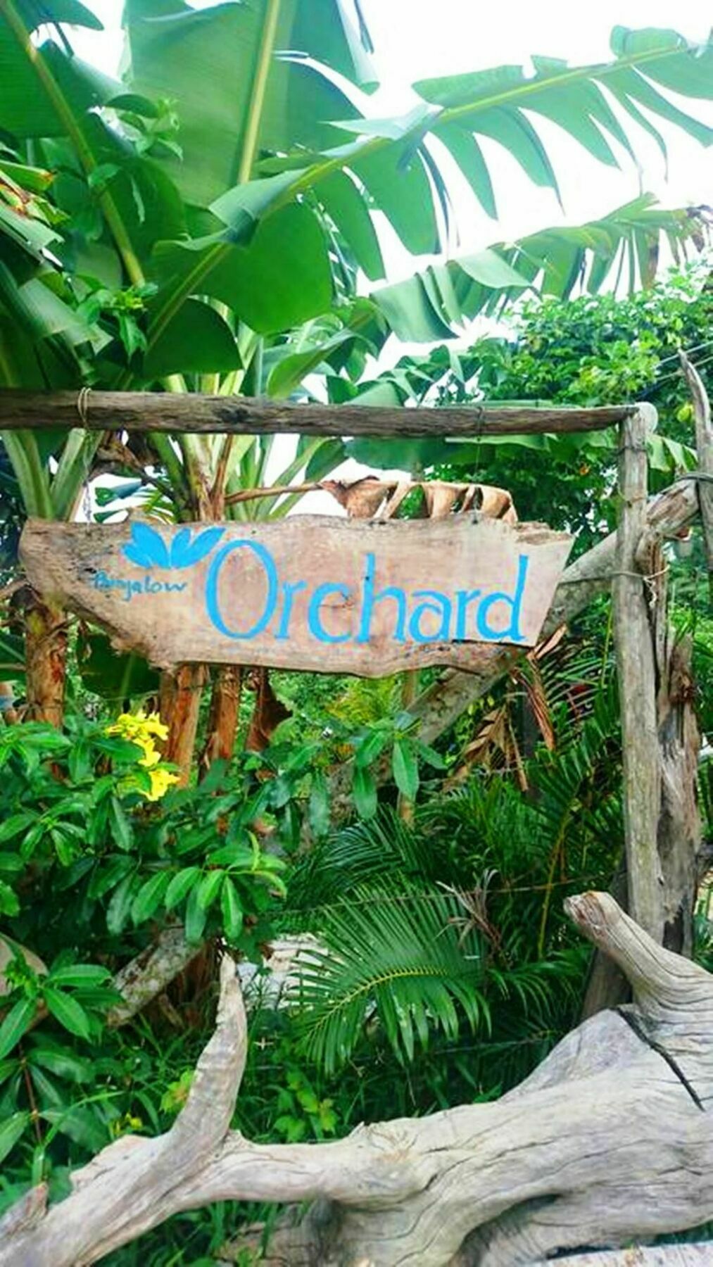 Orchard Fruit Farm Bungalow Duong Dong Exterior foto