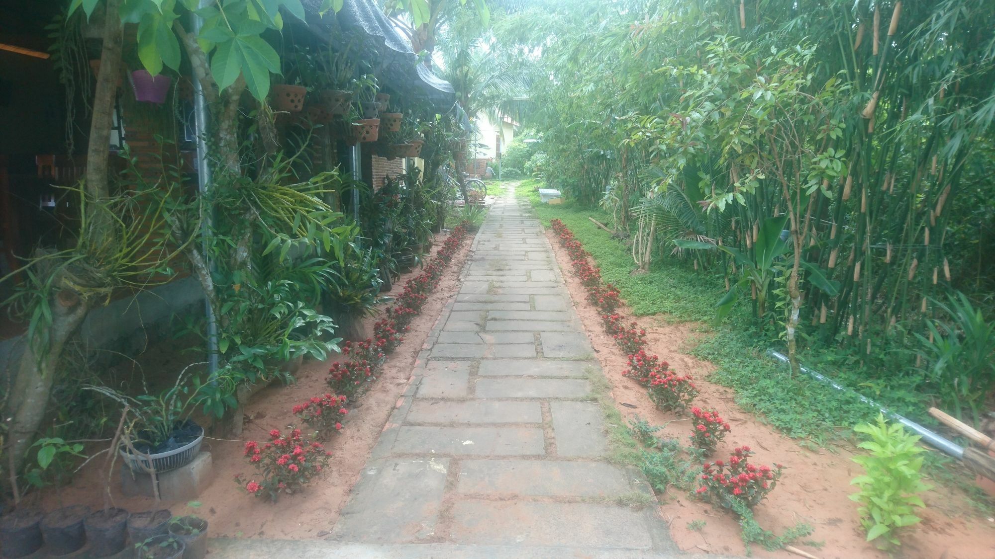 Orchard Fruit Farm Bungalow Duong Dong Exterior foto