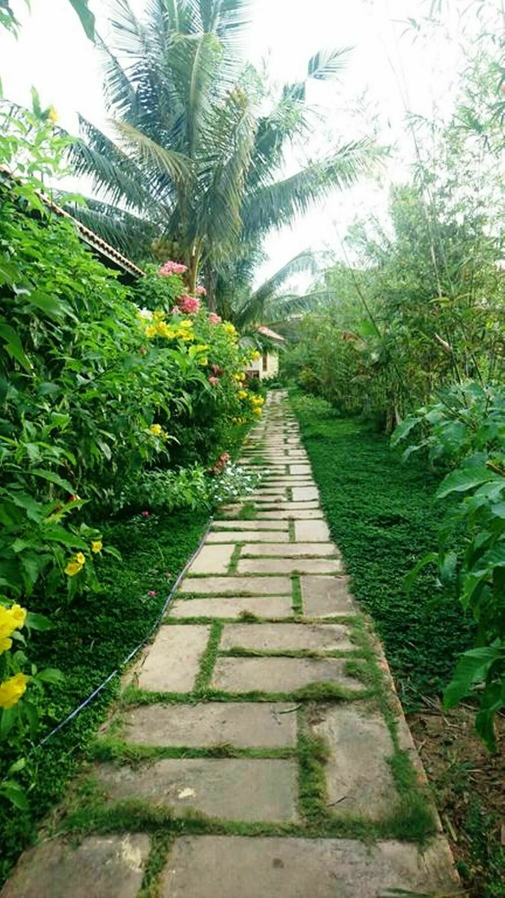 Orchard Fruit Farm Bungalow Duong Dong Exterior foto